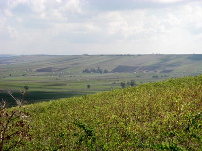 Sicilian countryside.
